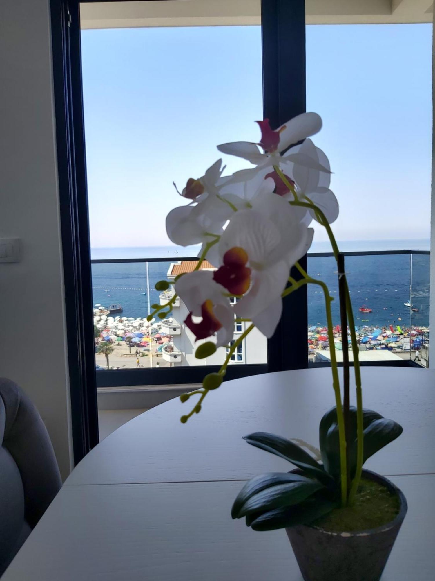 Apartmani Aida 도브라 보다 외부 사진